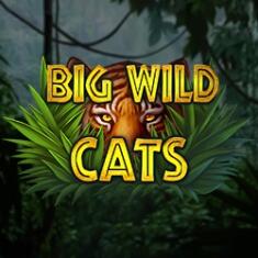 Big Wild Cats 