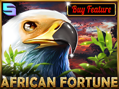 African Fortune